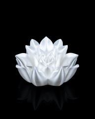 Uyanışın Kökü - Lotus Çiçeği Temalı 3D Yazıcı Kitap Standı